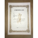 605 Rank Certificate, Any Martial Arts